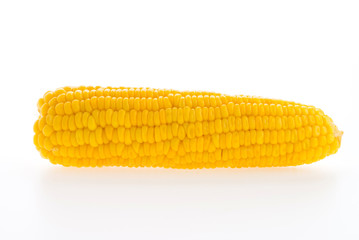 Corn isolated on white background