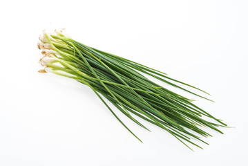 spring onion isolated on white background
