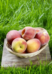 Basket of peaches