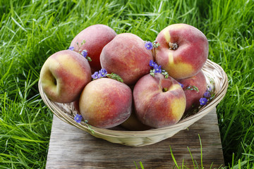 Basket of peaches