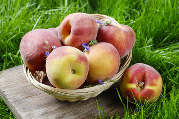 Basket of peaches