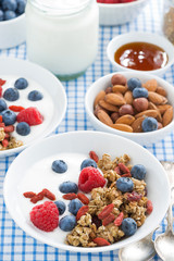 delicious breakfast with granola, berries and yogurt, vertical