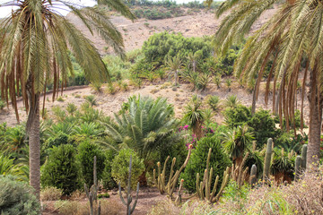 paysage fuerteventura