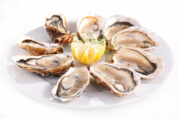 oyster