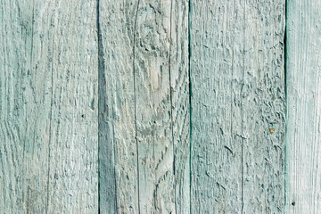 Old painted wood wall - texture or background