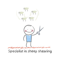 Specialist sheep shearing