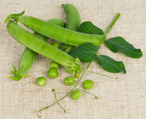 Peas pods