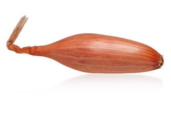 Raw shallot