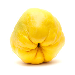 yellow quince fruit isolated on white