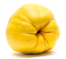 yellow quince fruit isolated on white