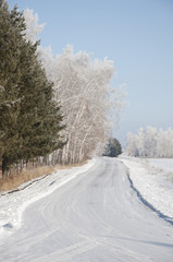 Fototapeta premium road and hoar-frost on trees in winter