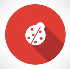 ladybug icon