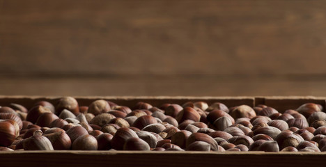 Hazelnuts in wooden box