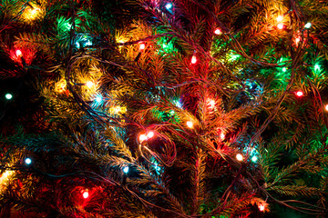 Christmas lights