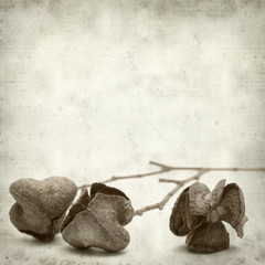 textured old paper background