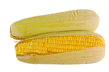 Raw Corns