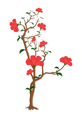 Red Flowers Plant Vector