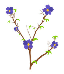 Nature Flowers Branches Vector