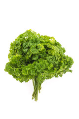 Obraz premium Parsley