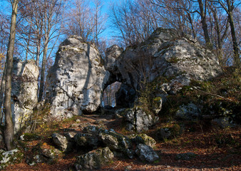 Twardowski Gate