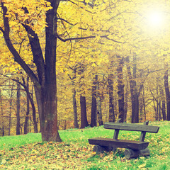 Fototapeta na wymiar bench in the autumn park, vintage look