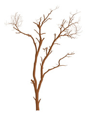 Fototapeta na wymiar Dead Tree Vector Shape Design