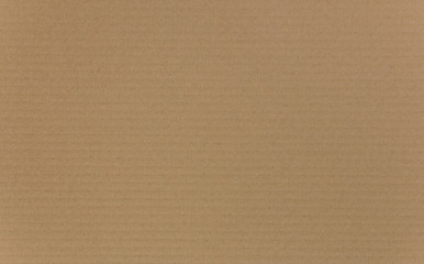 Corrugated Cardboard Texture