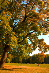 Naklejka premium Осень