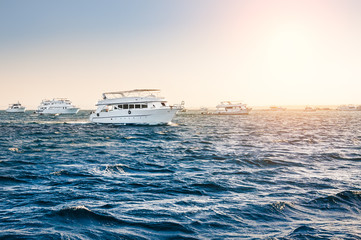 White yachts in the red sea