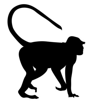 Monkey Animal Silhouette