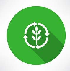 Eco green leaf logo