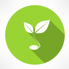 sprout grain icon