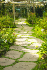 A stone pathway in flower garden