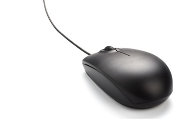 computer mouse on white background