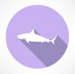 Shark Icon