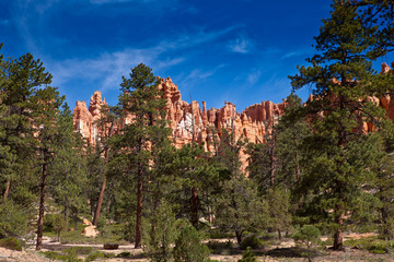 USA - Bryce canyon