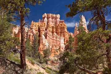 USA - Bryce canyon