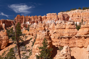 USA - Bryce canyon