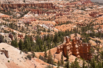 USA - Bryce canyon