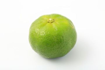 シークアーサー