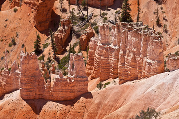 USA - Bryce canyon