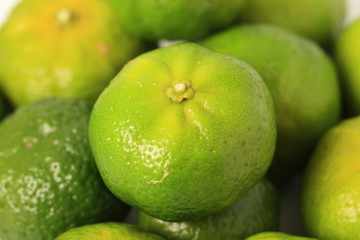 シークアーサー