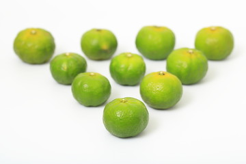 シークアーサー