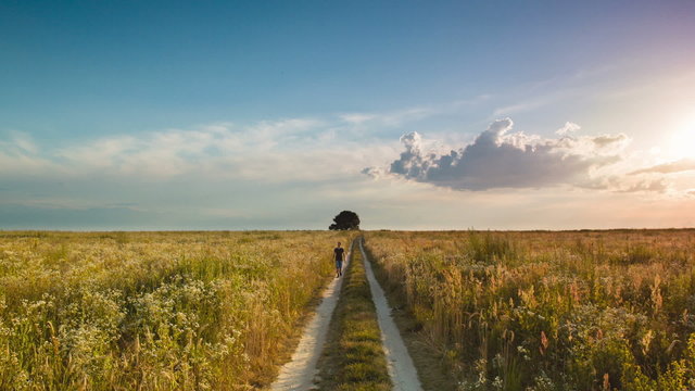 The man walks by path in the wheat field, sunset