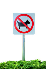 No dog sign isolated on white