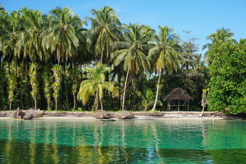 Tropical shore with lush coconut trees and a hut