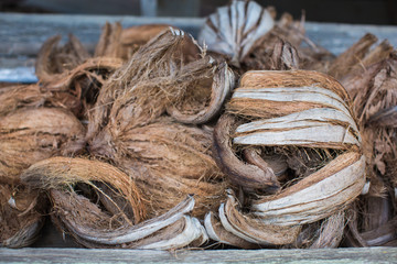 coconut