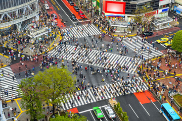 Naklejka premium Shibuya, Tokyo, Japan at Shibuya Crossing