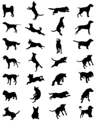 Different black silhouettes of dogs 2, vector