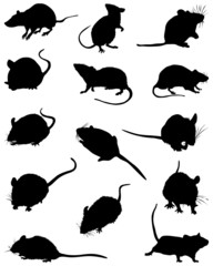 Different black silhouettes of mouses,vector